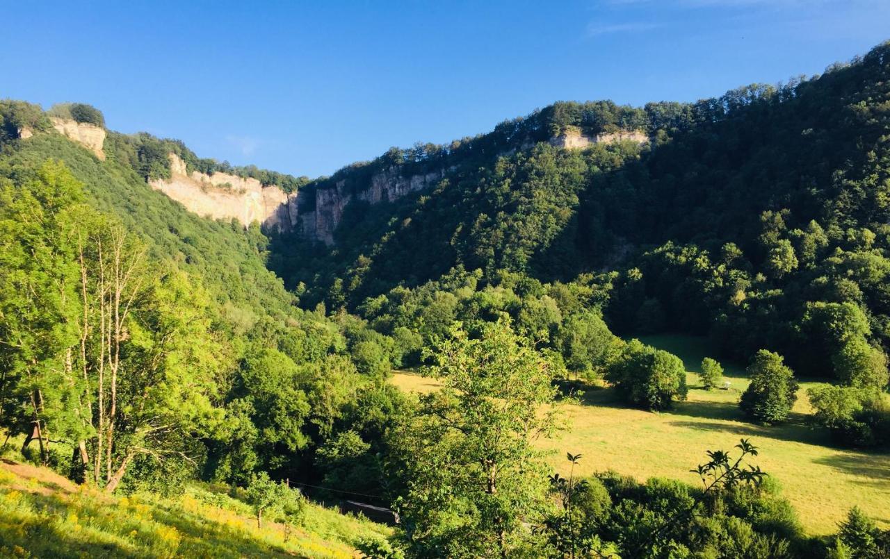 Gite Des Reculees Ladoye-sur-Seille Exterior photo
